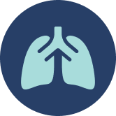 Icon of Lungs
