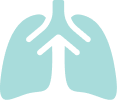 Icon of lungs